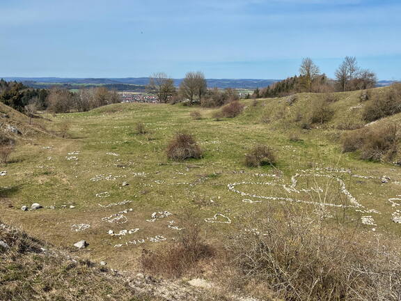 25-03-21 12-20-18 2482